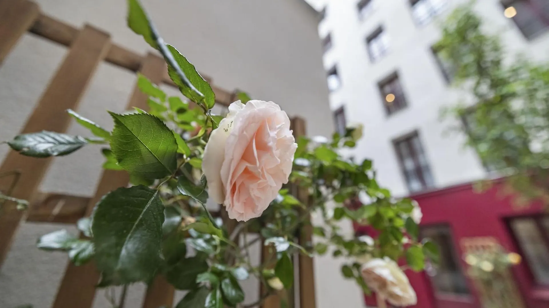 Petito Apartment Paris France